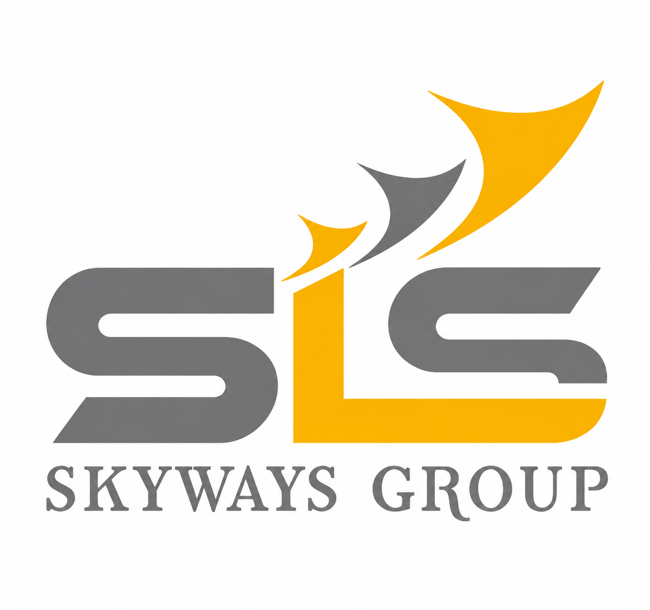 Skyways Air Services Limited logo