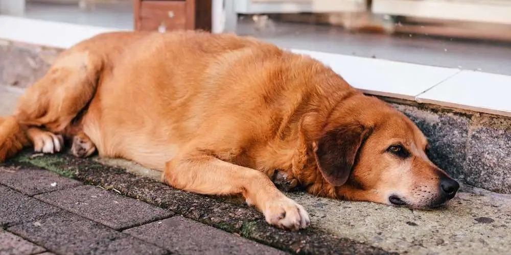 Investment Mistakes: Stop procrastinating