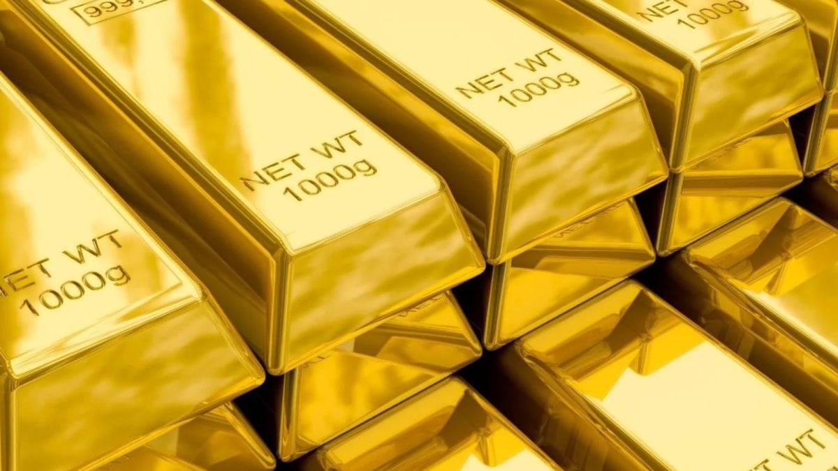 Sebi Warns Against Digital Gold: Should Investors Worry? Here's What Experts Say