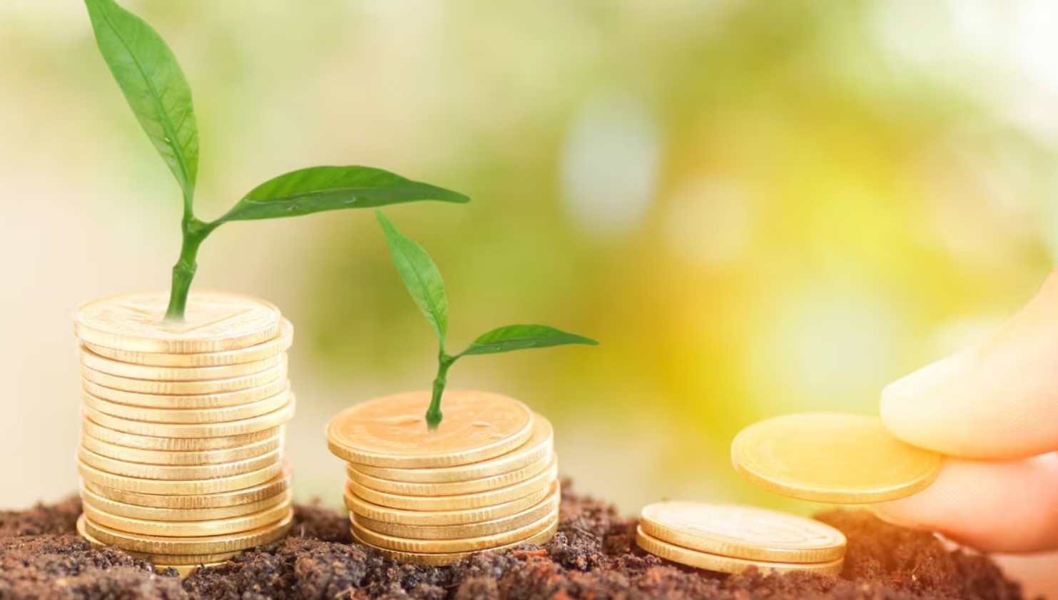 Global investing gains traction: Experts suggest 10–20% overseas allocation for Indian investors